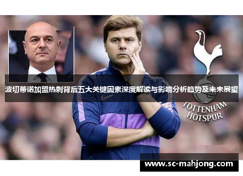 波切蒂诺加盟热刺背后五大关键因素深度解读与影响分析趋势及未来展望