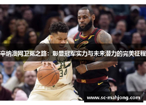 辛纳澳网卫冕之路：彰显冠军实力与未来潜力的完美征程
