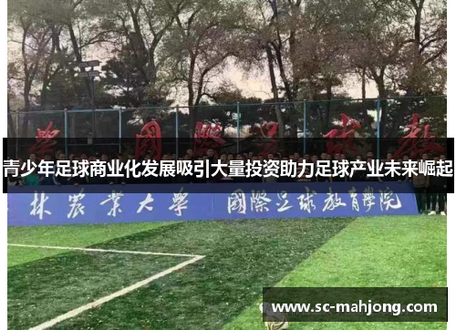 青少年足球商业化发展吸引大量投资助力足球产业未来崛起 青少年足球商业化发展吸引大量投资助力足球产业未来崛起