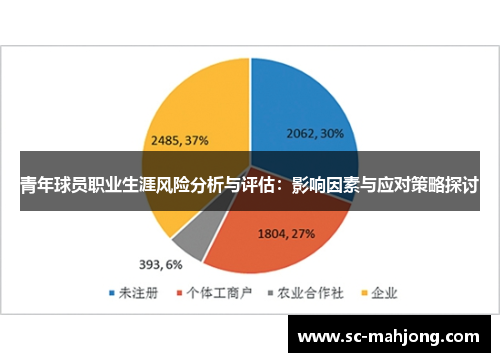 青年球员职业生涯风险分析与评估：影响因素与应对策略探讨